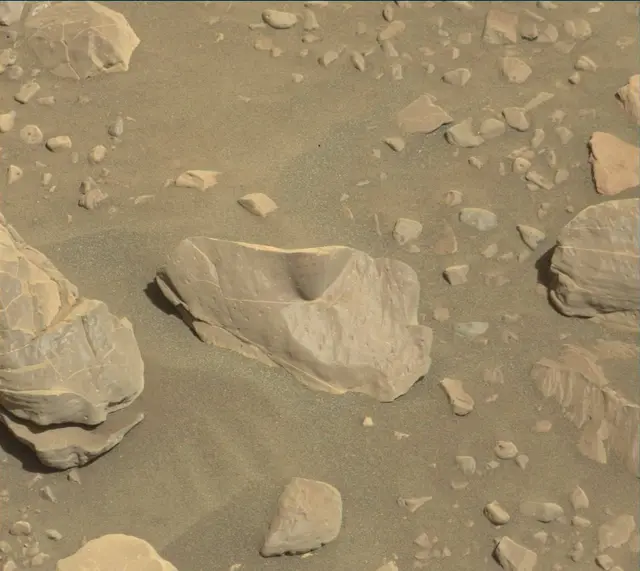Sol 1899: Mast Camera (Mastcam)