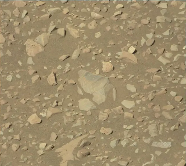 Sol 1899: Mast Camera (Mastcam)
