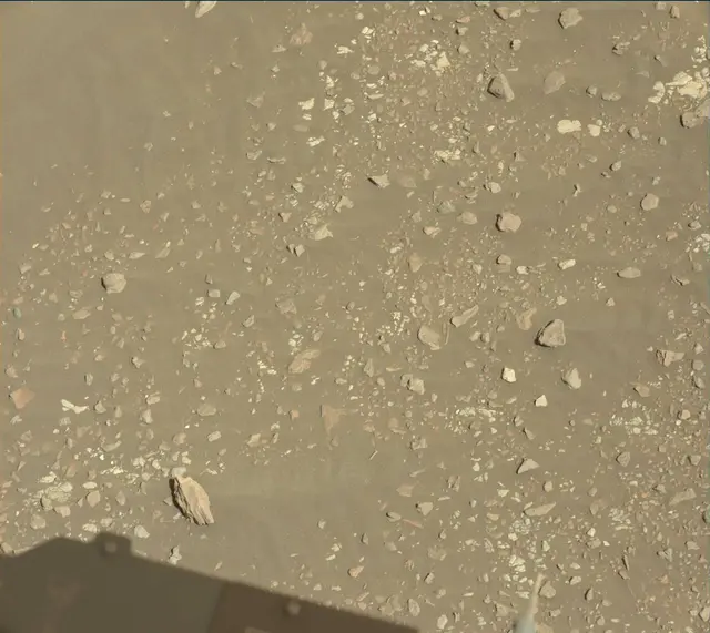 Sol 1901: Mast Camera (Mastcam)