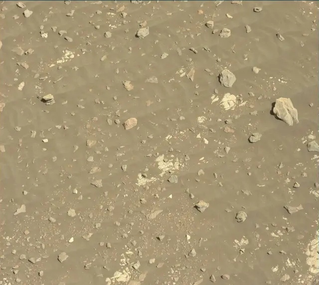 Sol 1901: Mast Camera (Mastcam)