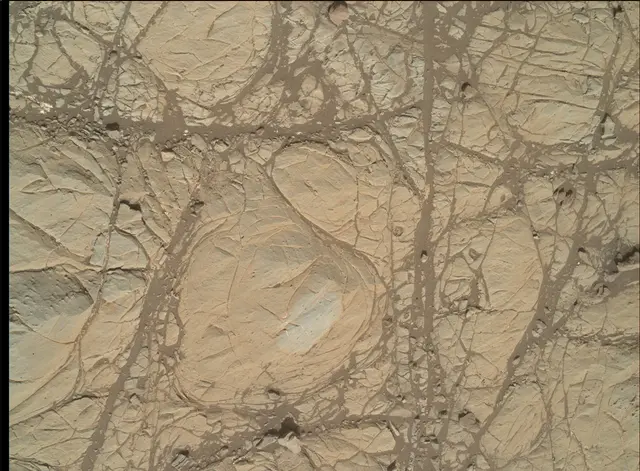 Sol 1904: Mars Hand Lens Imager (MAHLI)