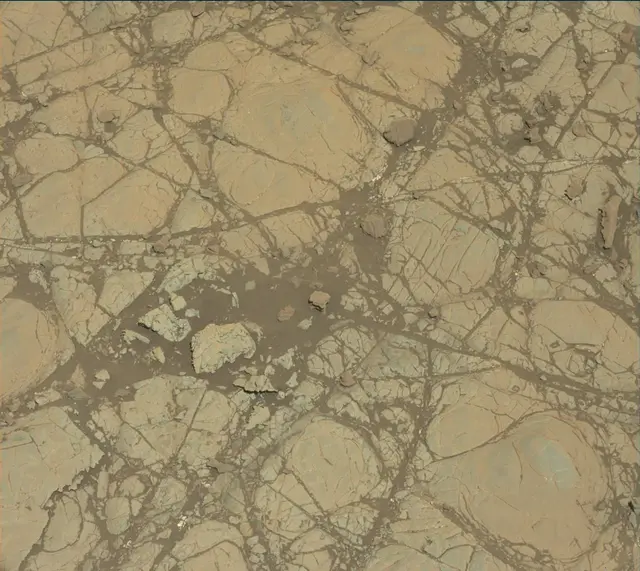 Sol 1905: Mast Camera (Mastcam)