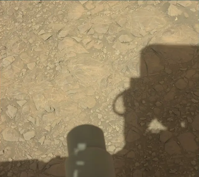 Sol 1905: Mast Camera (Mastcam)