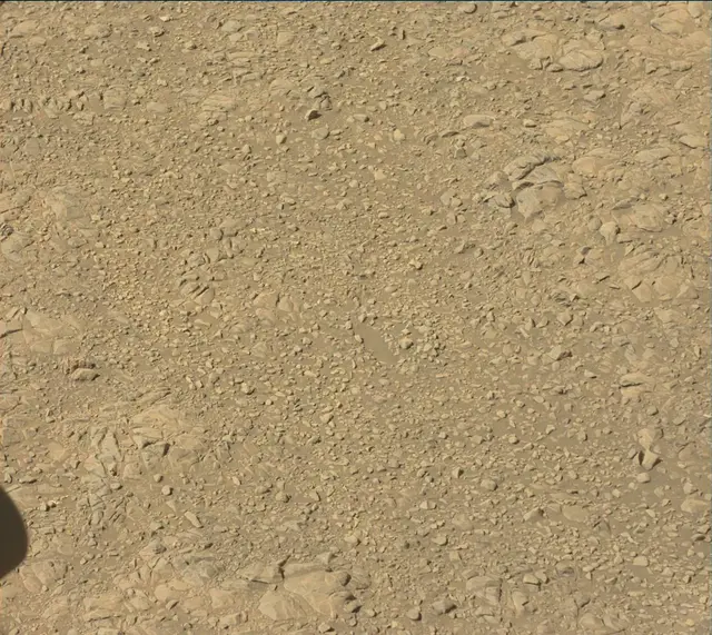Sol 1905: Mast Camera (Mastcam)