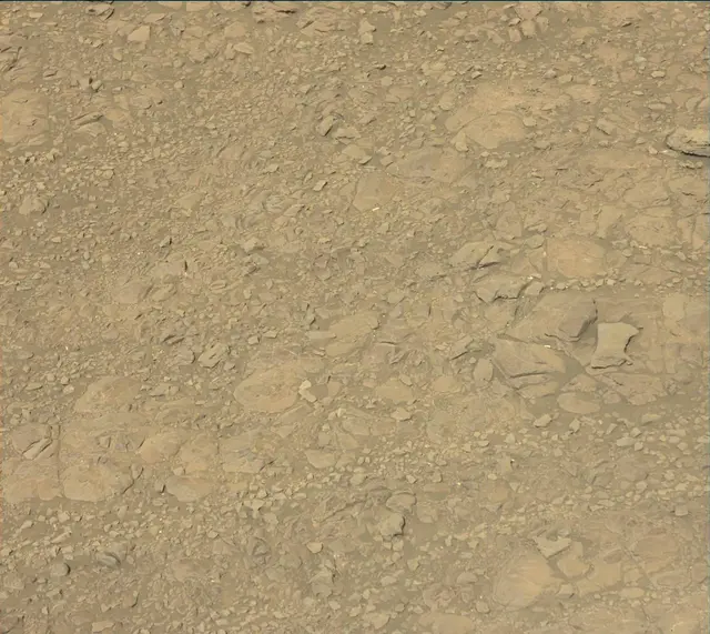 Sol 1905: Mast Camera (Mastcam)