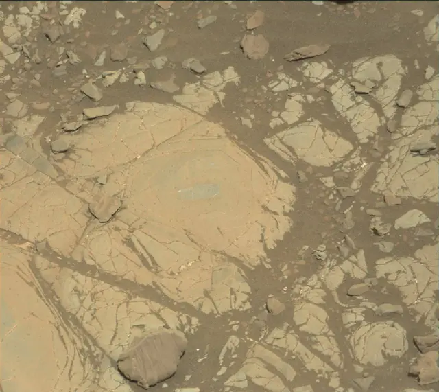 Sol 1905: Mast Camera (Mastcam)