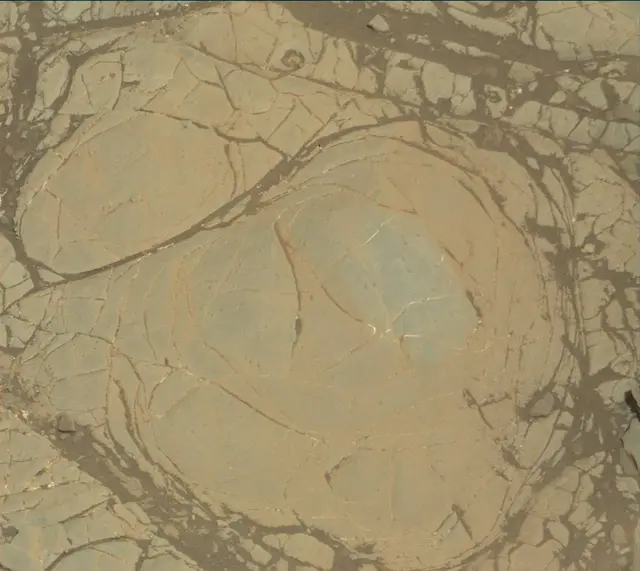 Sol 1905: Mast Camera (Mastcam)