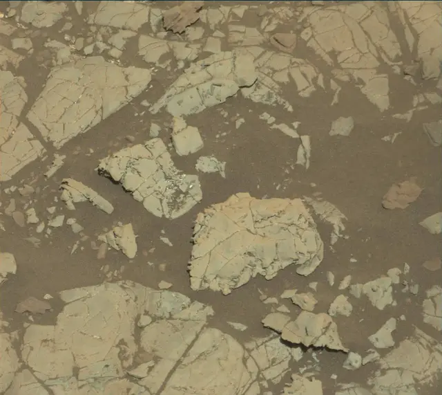 Sol 1905: Mast Camera (Mastcam)