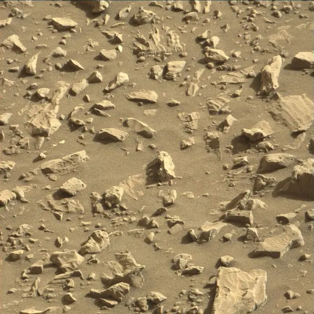 Sol 1905: Mast Camera (Mastcam)