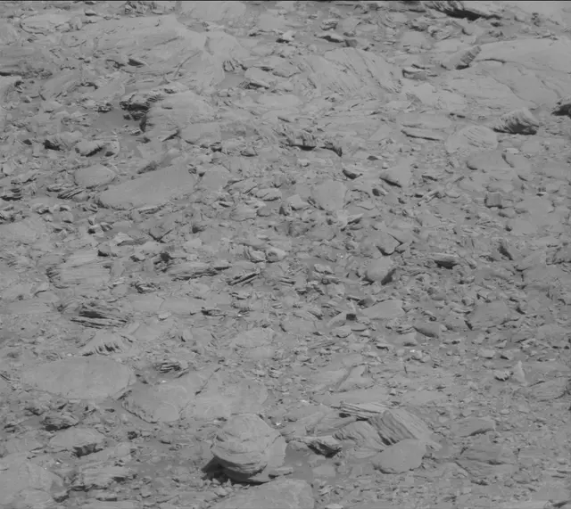 Sol 1911: Mast Camera (Mastcam)