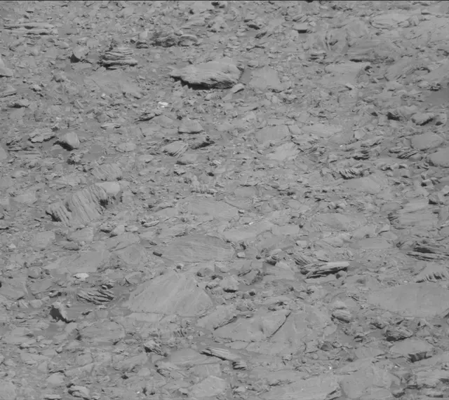 Sol 1911: Mast Camera (Mastcam)