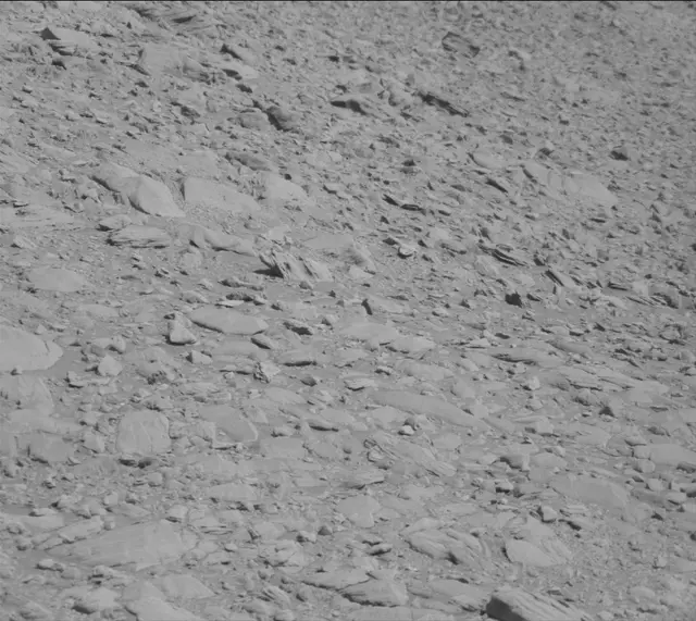 Sol 1911: Mast Camera (Mastcam)