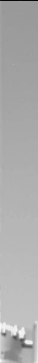 Sol 1914: Mast Camera (Mastcam)