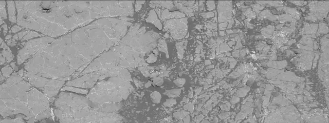 Sol 1931: Mast Camera (Mastcam)