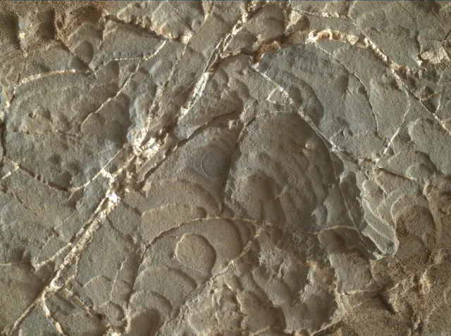 Sol 1931: Mars Hand Lens Imager (MAHLI)