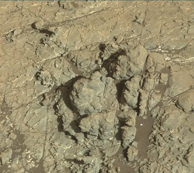 Sol 1932: Mast Camera (Mastcam)
