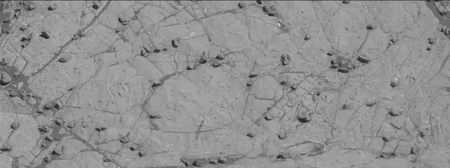 Sol 1936: Mast Camera (Mastcam)