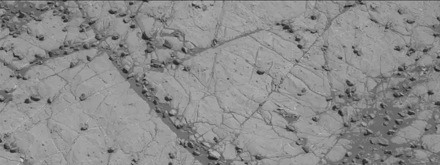 Sol 1936: Mast Camera (Mastcam)