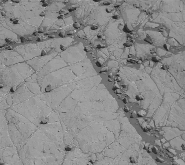 Sol 1936: Mast Camera (Mastcam)