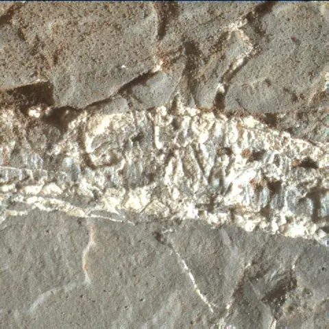 Sol 1937: Mars Hand Lens Imager (MAHLI)