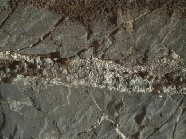 Sol 1938: Mars Hand Lens Imager (MAHLI)