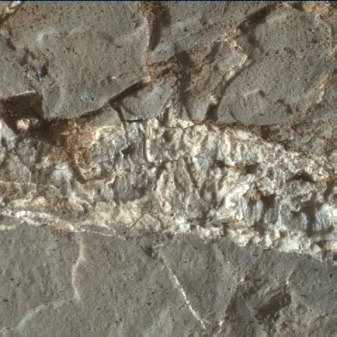 Sol 1938: Mars Hand Lens Imager (MAHLI)