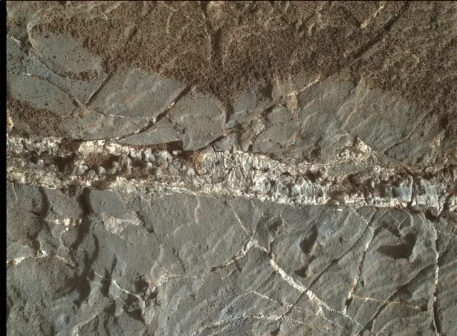 Sol 1938: Mars Hand Lens Imager (MAHLI)