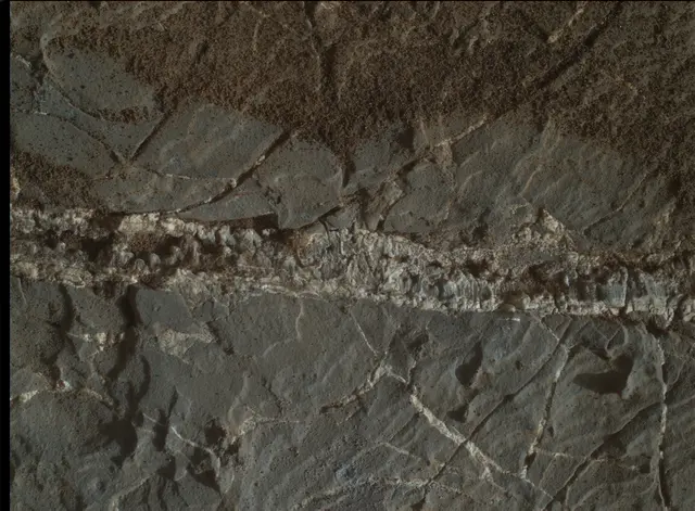 Sol 1938: Mars Hand Lens Imager (MAHLI)