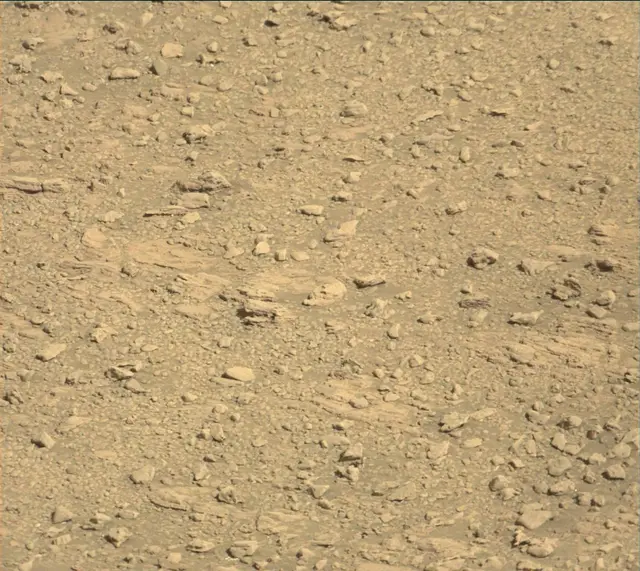 Sol 1945: Mast Camera (Mastcam)
