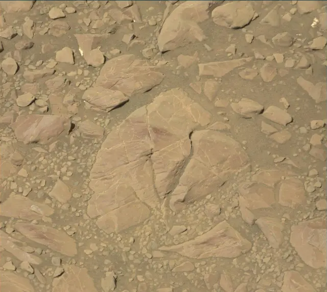 Sol 1955: Mast Camera (Mastcam)