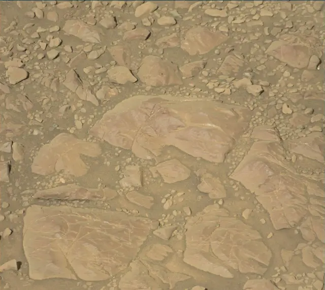 Sol 1959: Mast Camera (Mastcam)