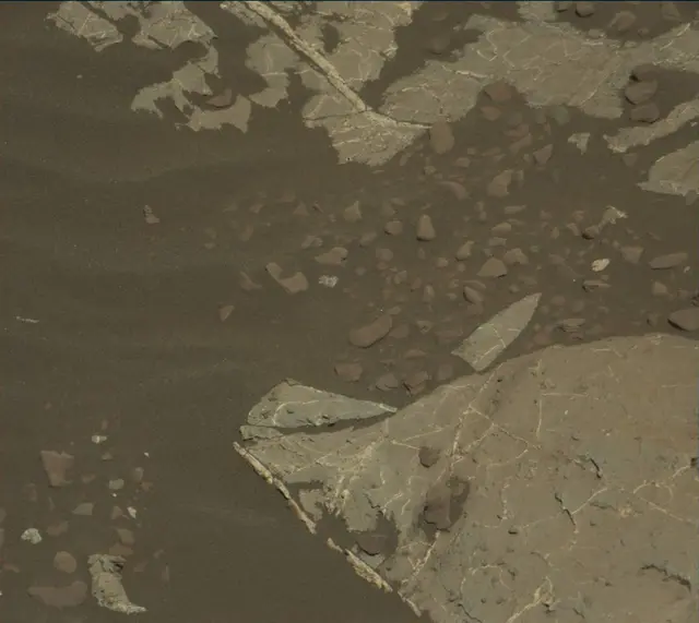 Sol 1964: Mast Camera (Mastcam)