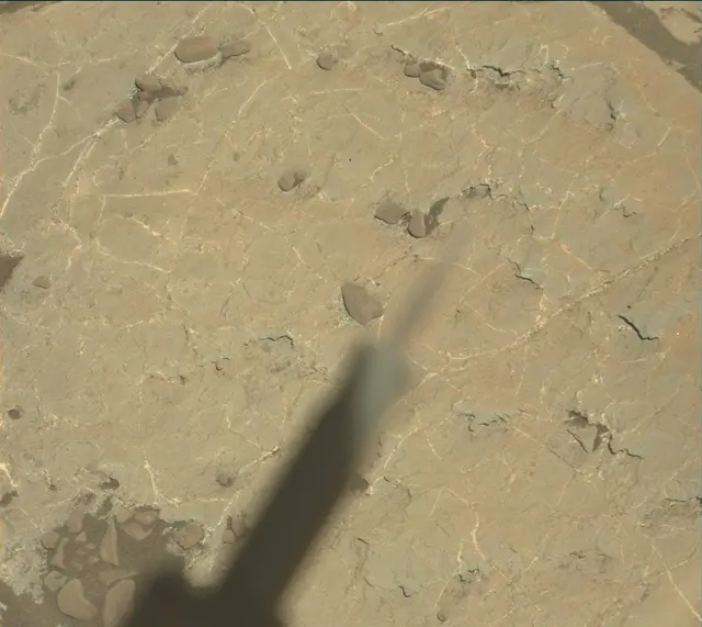 Sol 1964: Mast Camera (Mastcam)