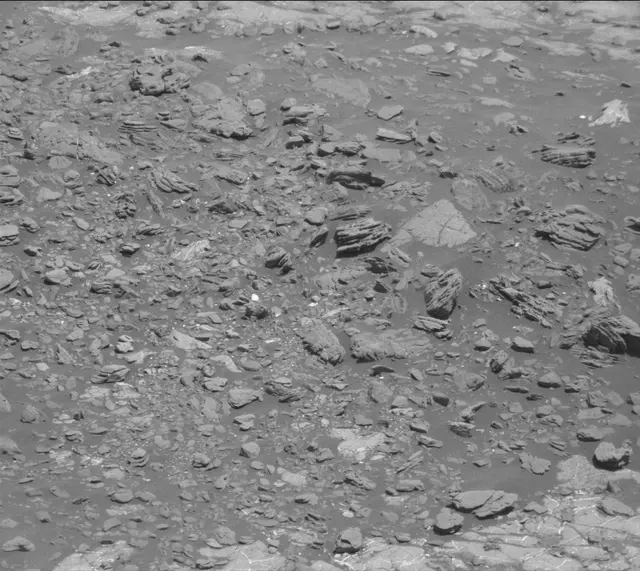 Sol 1964: Mast Camera (Mastcam)