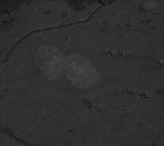 Sol 1967: Mast Camera (Mastcam)
