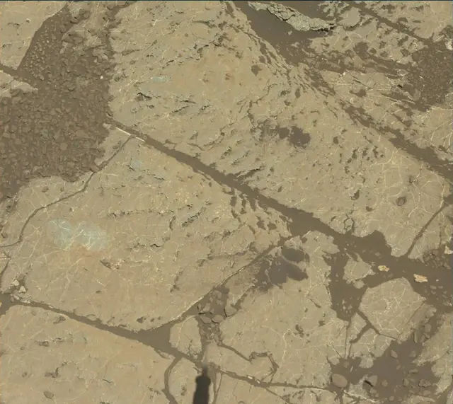 Sol 1970: Mast Camera (Mastcam)