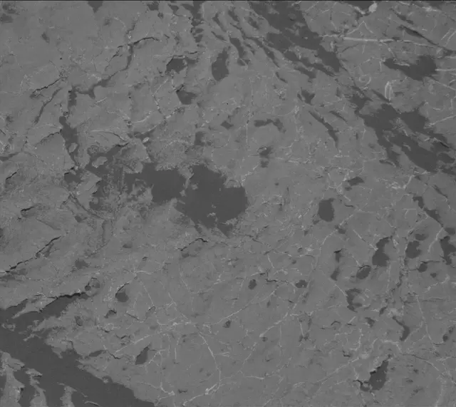 Sol 1970: Mast Camera (Mastcam)