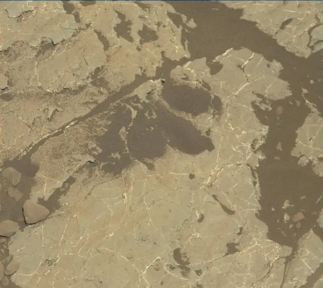 Sol 1970: Mast Camera (Mastcam)