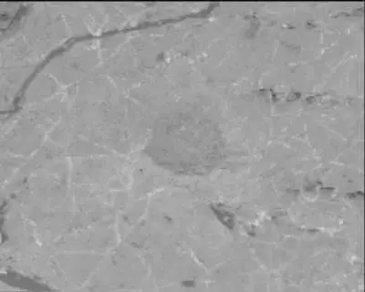 Sol 1978: Mast Camera (Mastcam)