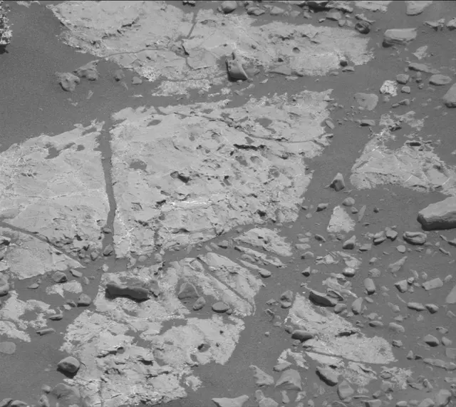 Sol 1978: Mast Camera (Mastcam)