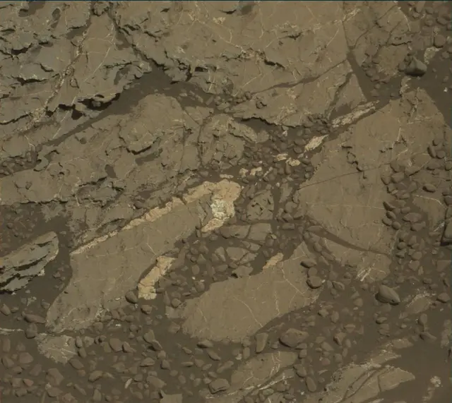 Sol 1978: Mast Camera (Mastcam)