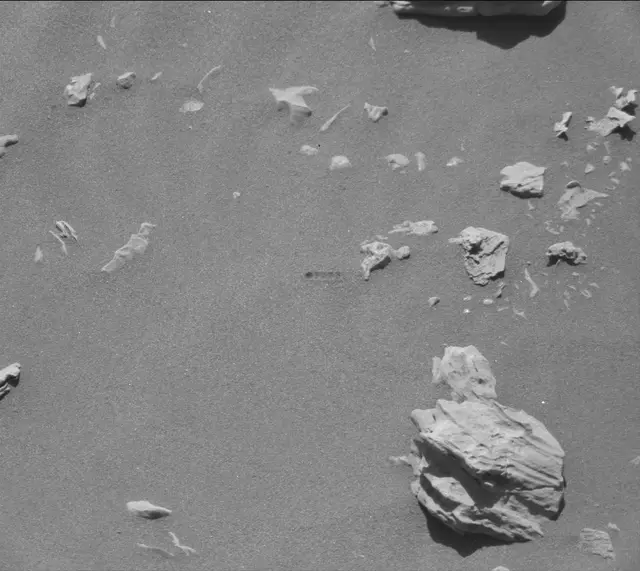 Sol 1978: Mast Camera (Mastcam)