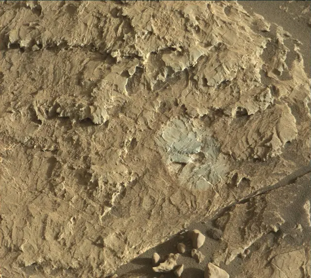 Sol 1979: Mast Camera (Mastcam)