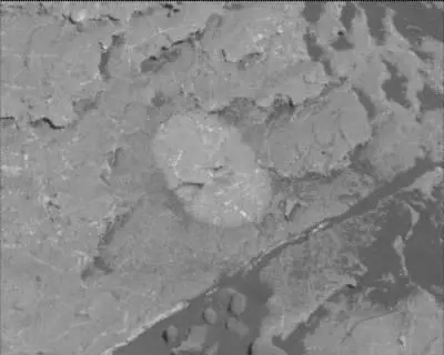 Sol 1980: Mast Camera (Mastcam)