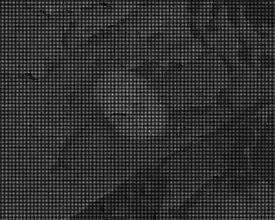 Sol 1980: Mast Camera (Mastcam)