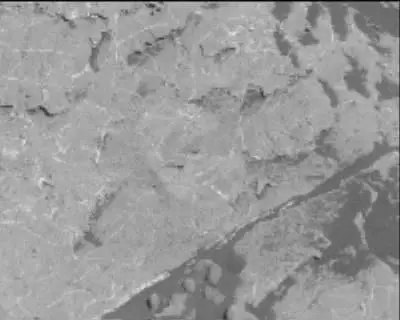 Sol 1980: Mast Camera (Mastcam)