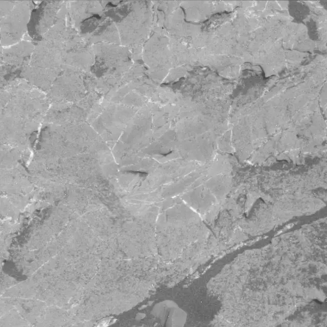 Sol 1980: Mast Camera (Mastcam)