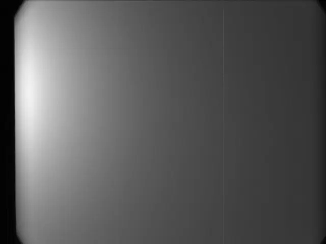 Sol 1981: Mast Camera (Mastcam)