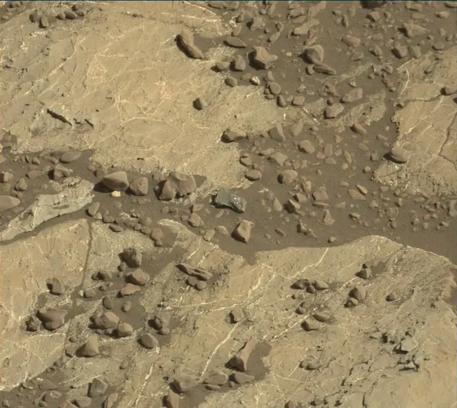 Sol 1981: Mast Camera (Mastcam)