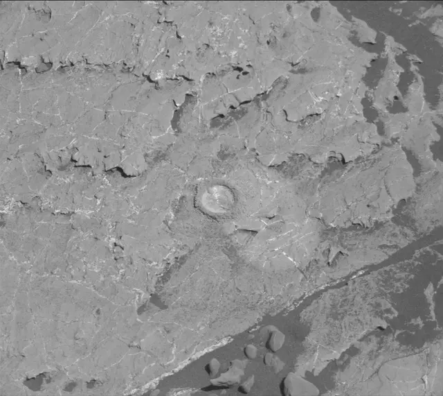 Sol 1983: Mast Camera (Mastcam)